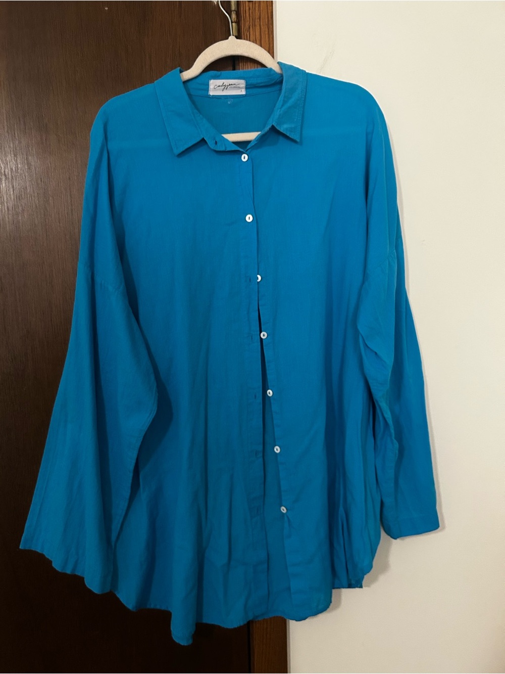Carly Jean of Los Angeles Teal Button-Up Shirt - Relaxed Women's Top